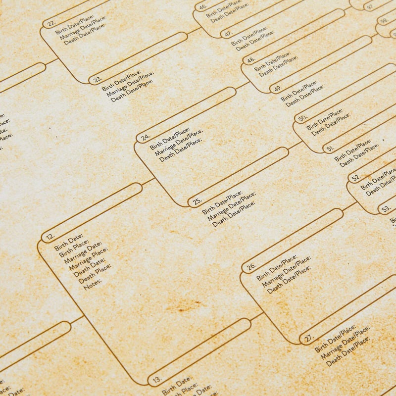 Okuna Outpost Family Tree Charts to Fill in - 8 Generation Genealogy Charts with 255 Name Spaces - Blank Family Tree Posters on Poster Paper for Framing - Pack of 15, 17 x 22 In, Off-White - Image 5